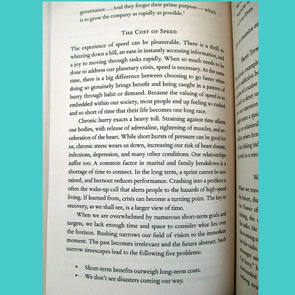 Book - Active Hope: How to Face the Mess We're in Without Going Crazy - Picture 10 of 16
